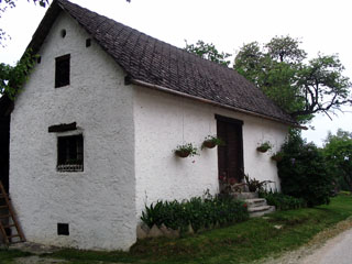 zgradba
